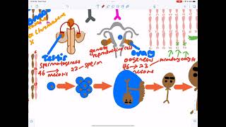 MATRIK SEM 1 Chapter 3 Cell Division [upl. by Adriano]