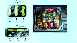 COMO LIGAR MOTOR TRIFASICO EM 380V [upl. by Necyrb182]