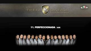 Perfeccionada  Banda Tierra Sagrada Audio Oficial [upl. by Atteynek]