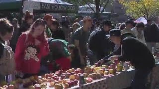 Cider Village held at Union Square Greenmarket in NYC [upl. by Roehm]