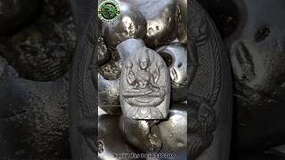 Shaligram ki murti  sri maha laximi vigrah  gandaki river shaligram 💐💐 shorts short [upl. by Ploch]