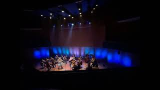 Isabelle van Keulen amp Deutsche Kammerakademie Neuss am Rhein Richter Vivaldi Recomposed  Winter 1 [upl. by Ellerrehs436]