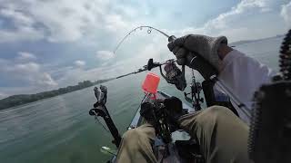 PULAU UBIN BARRA FRENZY [upl. by Eiuol]