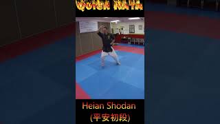 Kata Tutorial Heian Shodan karate karatekata heianshodan [upl. by Allemap]