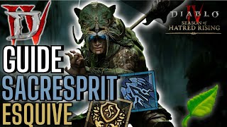 FAQ Sacresprit je vous dit tout sur le build Esquive Plumes de foudre  Diablo 4 Saison 6 [upl. by Chor]