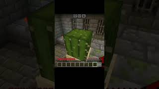 Minecraft cactus ☠️minecraft minecrftpe minecraftshorts gaming short shorts [upl. by Manthei]