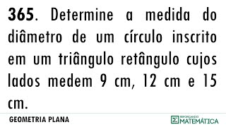 C10 CÍRCUNFERÊNCIA E CÍRCULO 365 [upl. by Nathanoj]