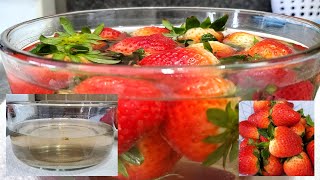 How to remove bugs on strawberriesHow to wash Strawberries [upl. by Hadnama]