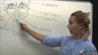 Las partes de la cara en Ruso  Curso de Ruso [upl. by Ekard]