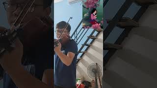 Reflection  Disneys Mulan  Violin Cover 🎻 disney violincover [upl. by Hutner]