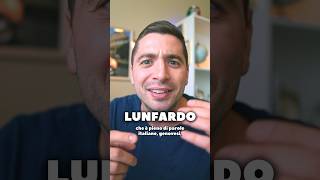 IL LUNFARDO ARGENTINO LE PAROLE ITALIANE 🇮🇹🇦🇷 lunfardo argentina italy italiano [upl. by Dott]