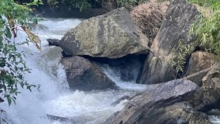 Sakleshpur 42 acres coffee estate with waterfalls amp stream for sale 9844991199 [upl. by Terag]