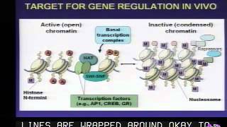 Transcriptional Mechanisms of Drug Addiction [upl. by Stedt470]