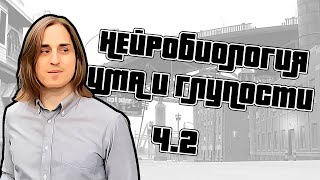 Нейробиология ума и глупости  Лекция Владимира Алипова ч2  Чат [upl. by Ennahgem578]