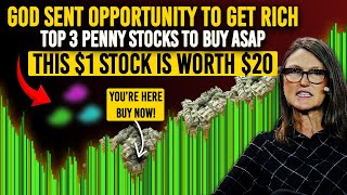 According To Billionaires Formula Top 3 Penny Stocks To Buy Now To 20x Your Wealth Next Year [upl. by Anelle]