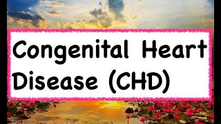 Congenital Heart Disease CHD  Hindi amp English [upl. by Ursulette598]