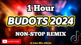 BEST BUDOTS 2024  1 HOUR NONSTOP REMIX 💥 [upl. by Yornek]