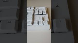 Razer DeathStalker V2 Pro TKL White unboxing [upl. by Xyno]