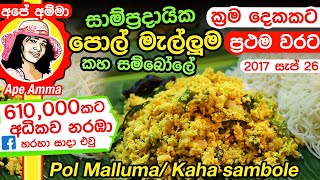 ✔ බඩේ තුවාල සුව කරන පොල් මැල්ලුම කහ සම්බෝලේ Pol Mallum for stomach ulcers by Apé Amma [upl. by Ahilam429]