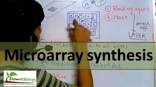 DNA Microarray synthesis [upl. by Herrick485]