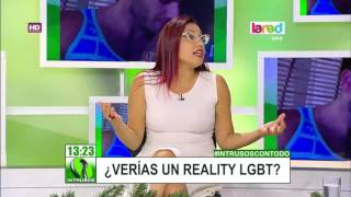 Realities de homosexuales ¿estamos preparados para ver este tipo de contenidos en la TV chilena [upl. by Latimer]