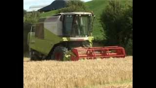 Claas 240 AVERO combine [upl. by Eive]