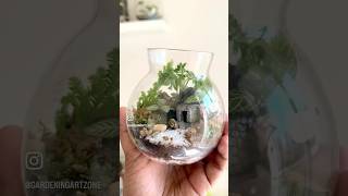 Terrarium BTS TerrariumVibes gardeningartzone terrarium apartmenttherapy explore trending [upl. by Olrak]