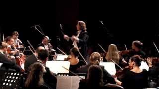 Beethoven Symphony 7 Scherzo Presto 3rd mvt [upl. by Padgett]