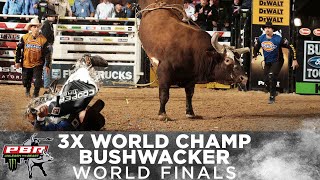 BUSHWACKER The World Finals Outs That Made Him a 3x World Champion [upl. by Enyleve930]