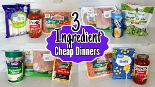 Quick amp Easy 3INGREDIENT Dinners You Can Make TONIGHT  Tasty Cheaper Meal Ideas  Julia Pacheco [upl. by Albur833]