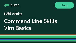 Command Line Skills Vim Basics [upl. by Alyam]