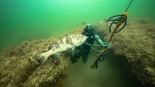 Spearfishing for GIANT Grouper In Ocean Dangerous shot  Jiggin With Jordan [upl. by Carena]