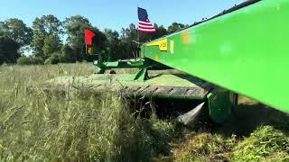 Mowing Triticaletractor farming johndeeretractor johndeere agriculture hay tractor farmlife [upl. by Arvad]