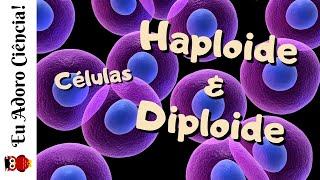 Células Haploide n e Diploide 2n [upl. by Dnaloy]