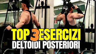 DELTOIDI POSTERIORI i 3 ESERCIZI migliori 🔴 Guida alle ALZATE POSTERIORI su PANCA [upl. by Tfat930]