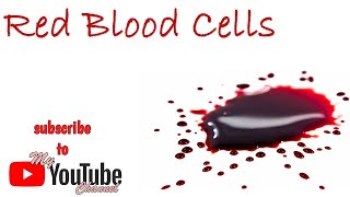 Red Blood Cells RBC in English amp Urdu [upl. by Charlene]