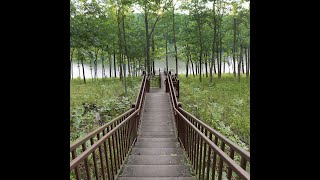 Cuivre River State Park August 4 2018 [upl. by Roskes]