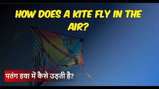 The Art of Kite Flying How does a Kite fly in the Air [upl. by Ahsok978]