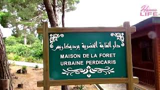 Forêt Rmilat Parc Perdicaris Tanger جولة في غابة برديكاريس الرميلات طنجة [upl. by Daus]