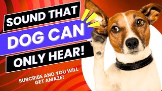 Sound That Dog Can Only Hear  Beats and Sounds Official [upl. by Cadmarr]