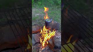 ✅ The guy shows SURVIVAL skills in the FOREST 💦 camping survival bushcraft outdoors lifehack [upl. by Kra269]