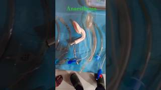 Anaesthesia technician exame rimshospitalranchi shorts video vairal [upl. by Winfield238]