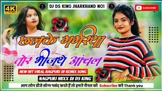 CHHALKEGAGRIYATORBHINJTHEANCHAL NETHETHNAGPURDJREMIXSONG2024 DJDSKINGJHARKHAND [upl. by Rovelli755]