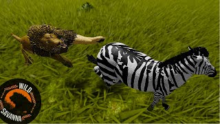 I Became a AGRESSIVE ZEBRA  Wild Savanna [upl. by Itnaihc]