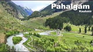 Pahalgam Kashmir  Aru Valley  Betaab Valley  Chandanwari  Kashmir Tourism  Manish Solanki Vlogs [upl. by Shirlie361]