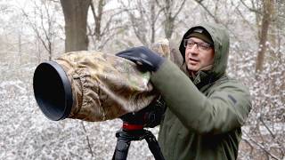 How to Photograph Small Birds at the Park Bird Photography Tips amp Tricks [upl. by Ihdin]