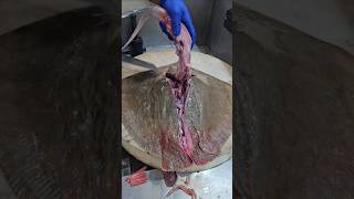 Stingray Fish Fastest Cutting Skillsshorts😱 [upl. by Delanty602]