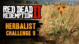 Red Dead Redemption 2 Herbalist Challenge 9 Guide  Pick one of each species of herb [upl. by Auerbach961]