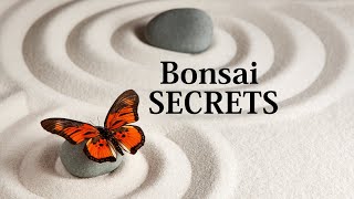 Youll REGRET Not Knowing These Bonsai Secrets [upl. by Old]