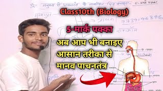 How to draw human digestive system easily method।। manav aahar naal ka chitra।। [upl. by Gnad]